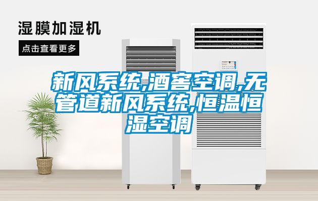 新風(fēng)系統,酒窖空調,無(wú)管道新風(fēng)系統,恒溫恒濕空調
