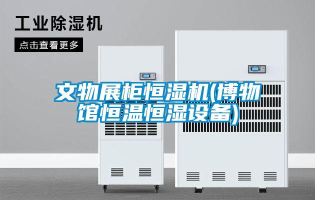 文物展柜恒濕機(博物館恒溫恒濕設備)