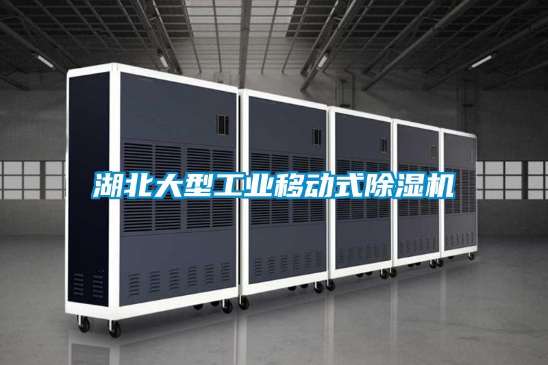 湖北大型工業(yè)移動(dòng)式除濕機