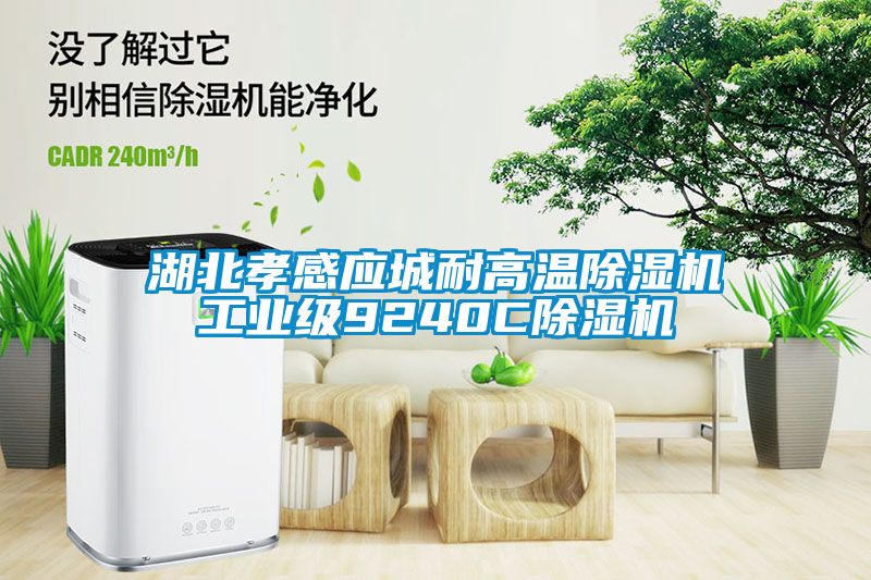 湖北孝感應城耐高溫除濕機工業(yè)級9240C除濕機