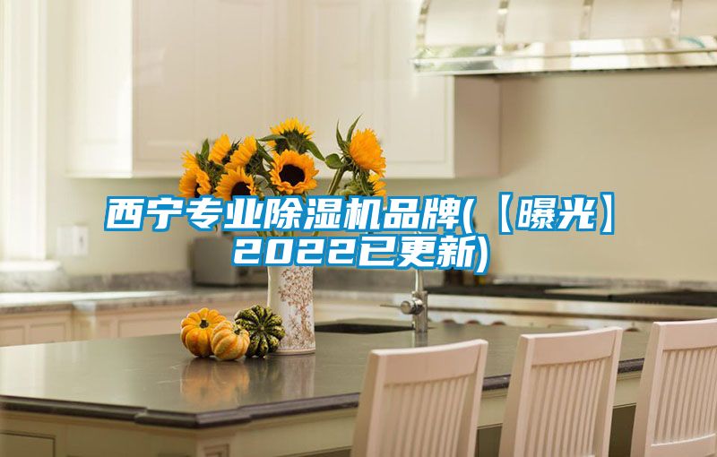 西寧專(zhuān)業(yè)除濕機品牌(【曝光】2022已更新)