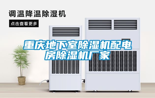 重慶地下室除濕機配電房除濕機廠(chǎng)家