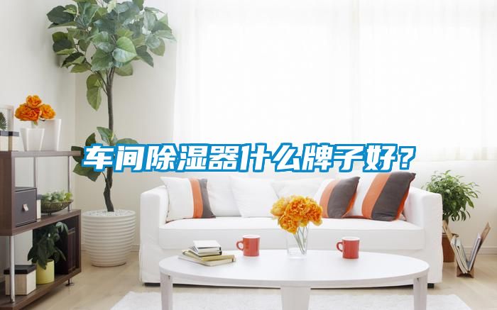 車(chē)間除濕器什么牌子好？