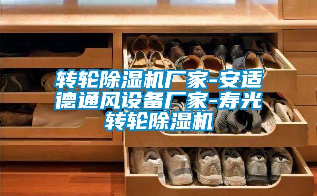 轉輪除濕機廠(chǎng)家-安適德通風(fēng)設備廠(chǎng)家-壽光轉輪除濕機