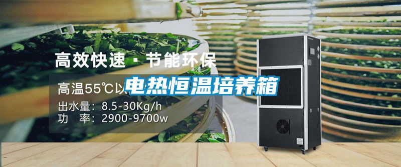電熱恒溫培養箱
