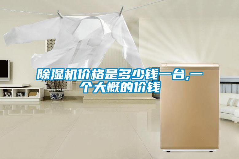 除濕機價(jià)格是多少錢(qián)一臺,一個(gè)大概的價(jià)錢(qián)