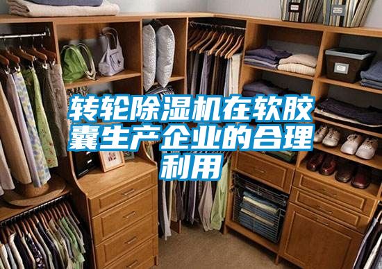 轉輪除濕機在軟膠囊生產(chǎn)企業(yè)的合理利用