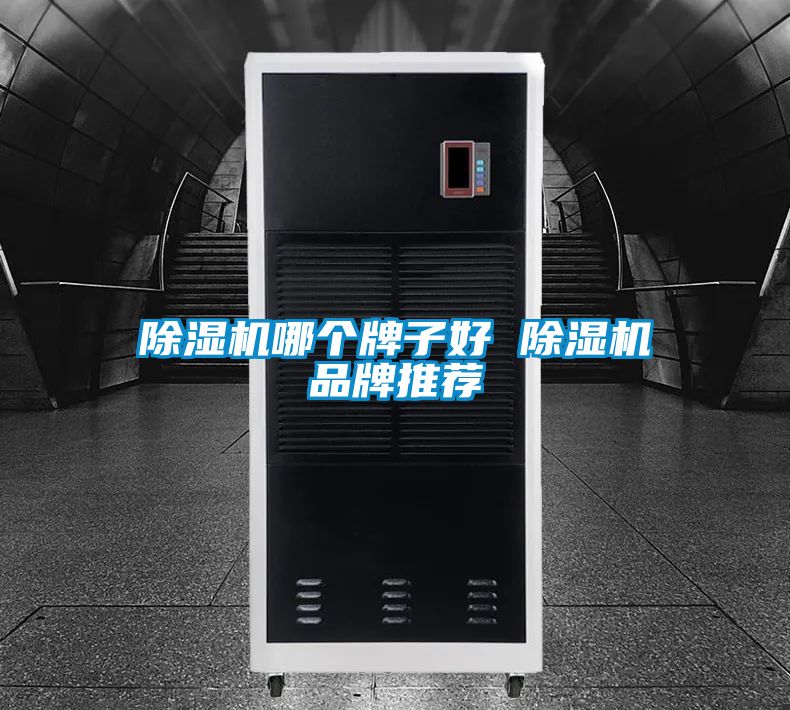 除濕機哪個(gè)牌子好 除濕機品牌推薦