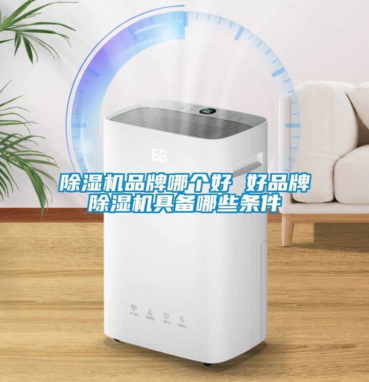 除濕機品牌哪個(gè)好 好品牌除濕機具備哪些條件