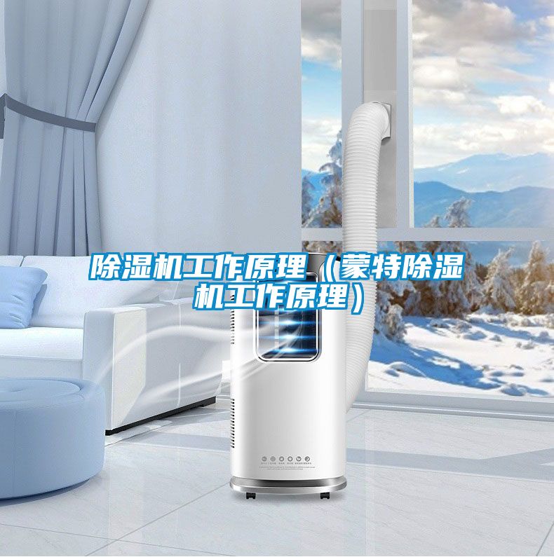 除濕機工作原理（蒙特除濕機工作原理）