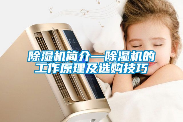 除濕機簡(jiǎn)介—除濕機的工作原理及選購技巧