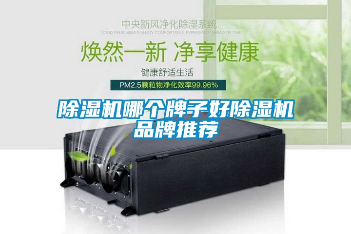 除濕機哪個(gè)牌子好除濕機品牌推薦