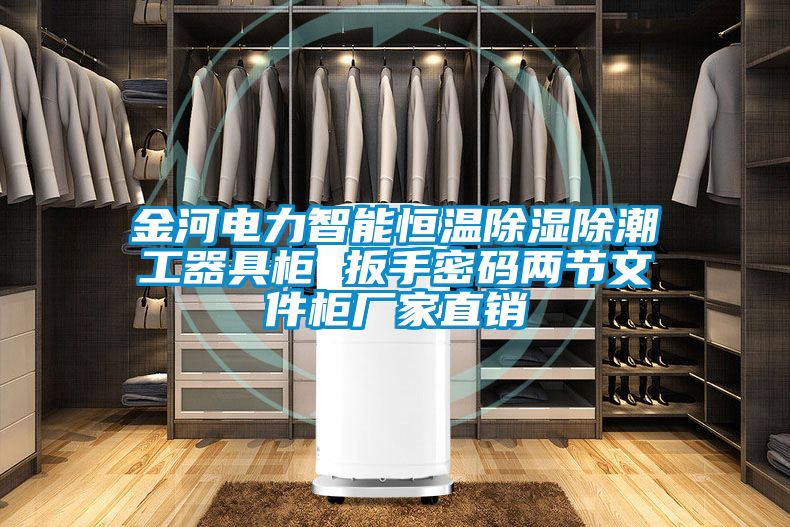 金河電力智能恒溫除濕除潮工器具柜 扳手密碼兩節文件柜廠(chǎng)家直銷(xiāo)