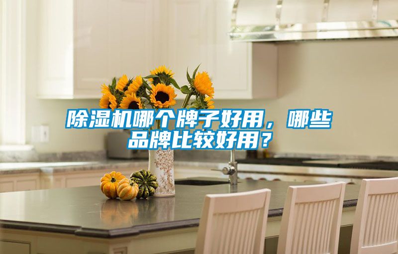 除濕機哪個(gè)牌子好用，哪些品牌比較好用？
