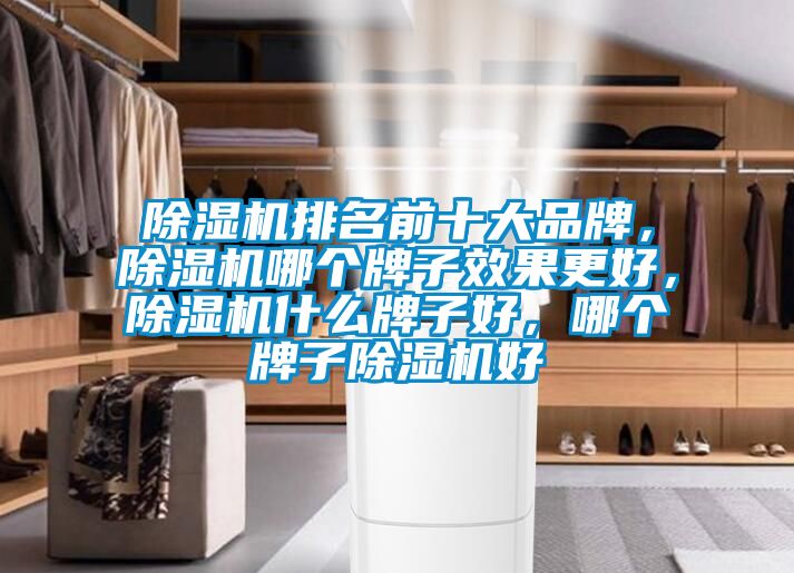 除濕機排名前十大品牌，除濕機哪個(gè)牌子效果更好，除濕機什么牌子好，哪個(gè)牌子除濕機好