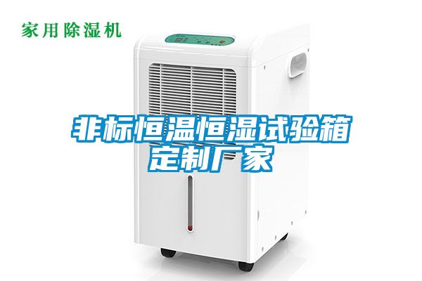 非標恒溫恒濕試驗箱定制廠(chǎng)家