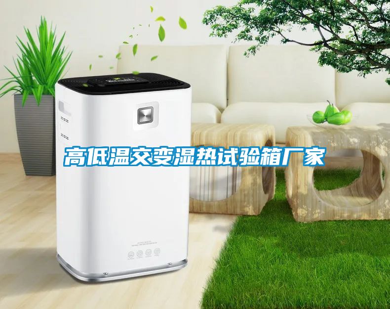 高低溫交變濕熱試驗箱廠(chǎng)家