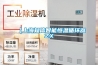 【上海知信智能恒溫循環(huán)器ZX