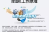 除濕機如何保養？