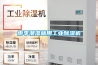 雨季潮濕就用工業(yè)除濕機