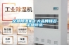 全球除濕機十大品牌排名企業(yè)評選