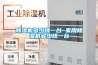 除濕機多少錢(qián)一臺 家用除濕機多少錢(qián)一臺